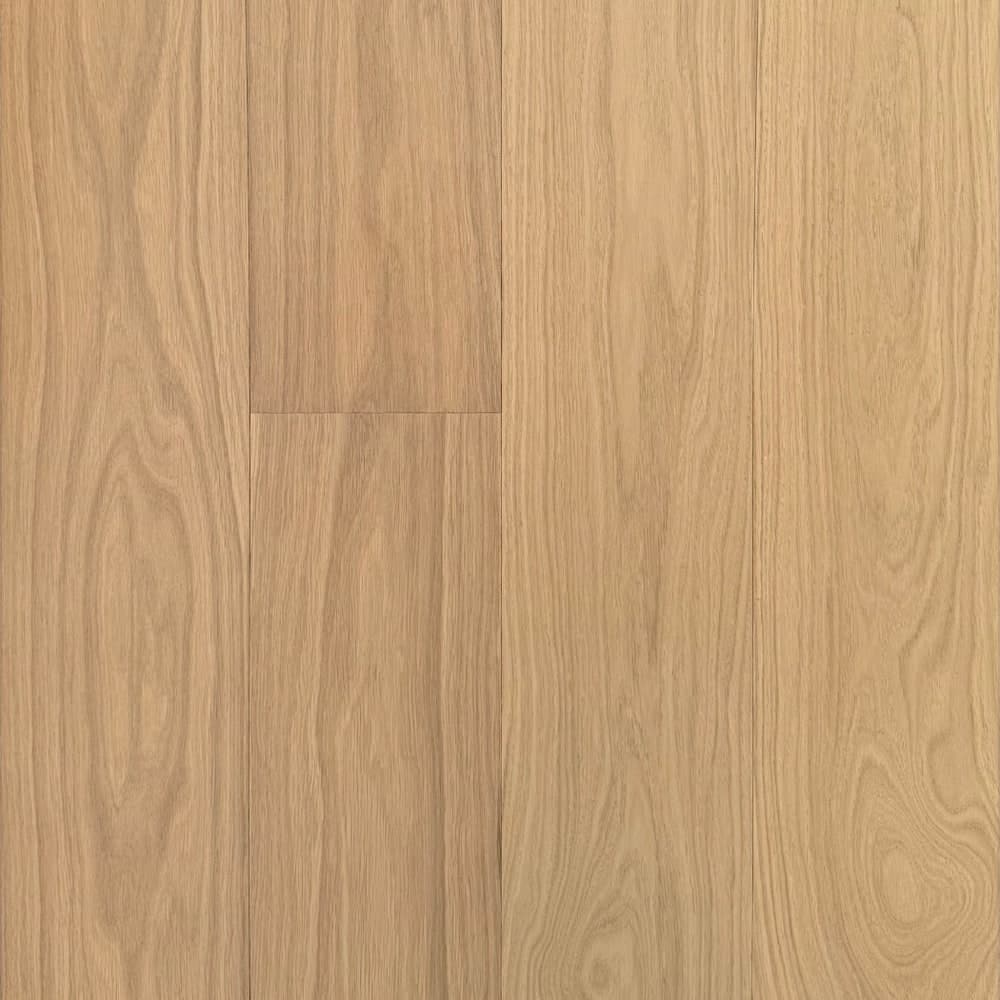 Aurenza Signature Alano swatch