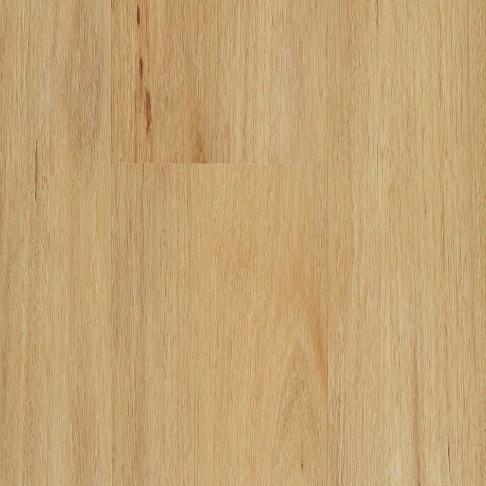 Stonegrove Hybrid 6.5mm SPC Coastal Blackbutt swatch